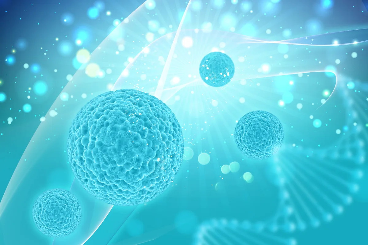 A rendering of cells and signaling molecules
