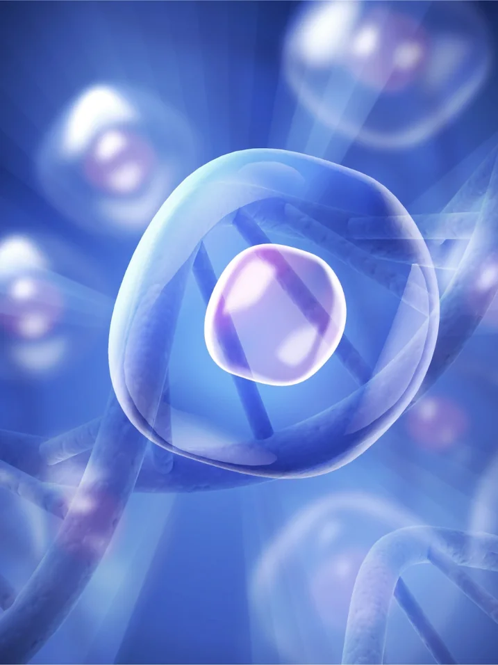 Rendering of a cell releasing signaling vesicles