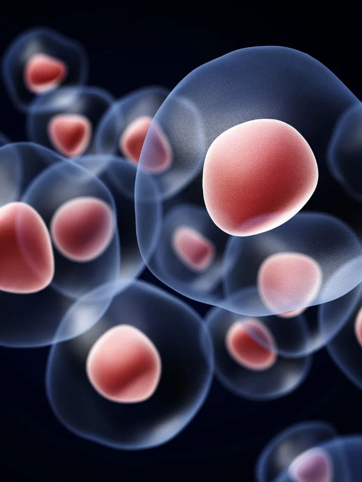 Scientific rendering of stem cells